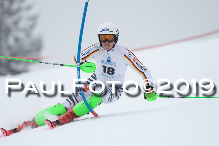 Int. FIS Rennen + NJC  AC Herren, FIS SG, Götschen, 25.01.2019
