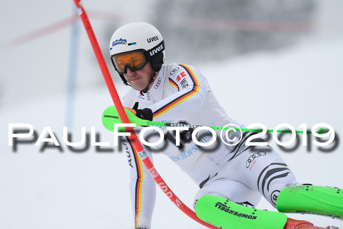 Int. FIS Rennen + NJC  AC Herren, FIS SG, Götschen, 25.01.2019