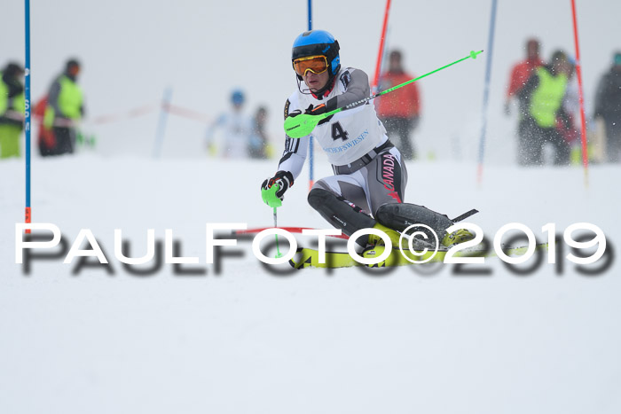 Int. FIS Rennen + NJC  AC Herren, FIS SG, Götschen, 25.01.2019
