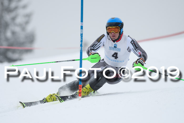 Int. FIS Rennen + NJC  AC Herren, FIS SG, Götschen, 25.01.2019