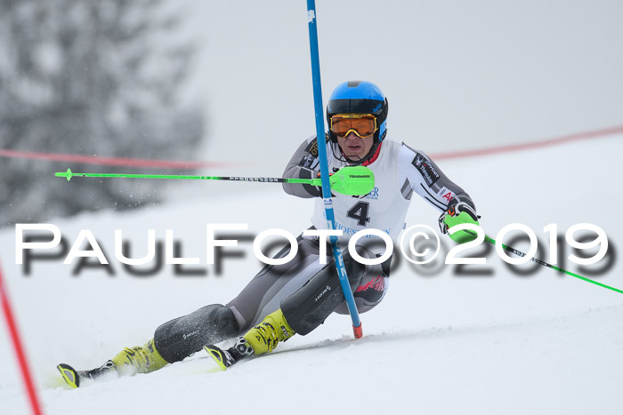 Int. FIS Rennen + NJC  AC Herren, FIS SG, Götschen, 25.01.2019