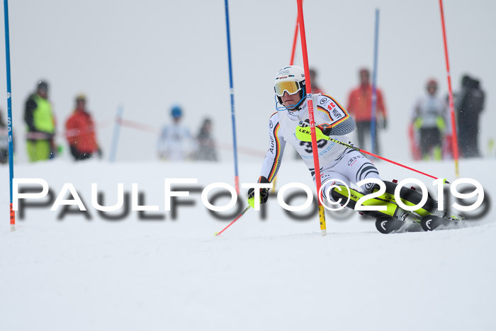 Int. FIS Rennen + NJC  AC Herren, FIS SG, Götschen, 25.01.2019