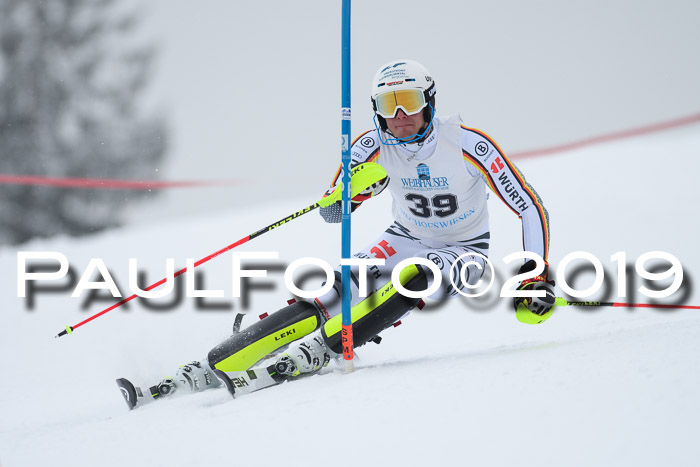 Int. FIS Rennen + NJC  AC Herren, FIS SG, Götschen, 25.01.2019