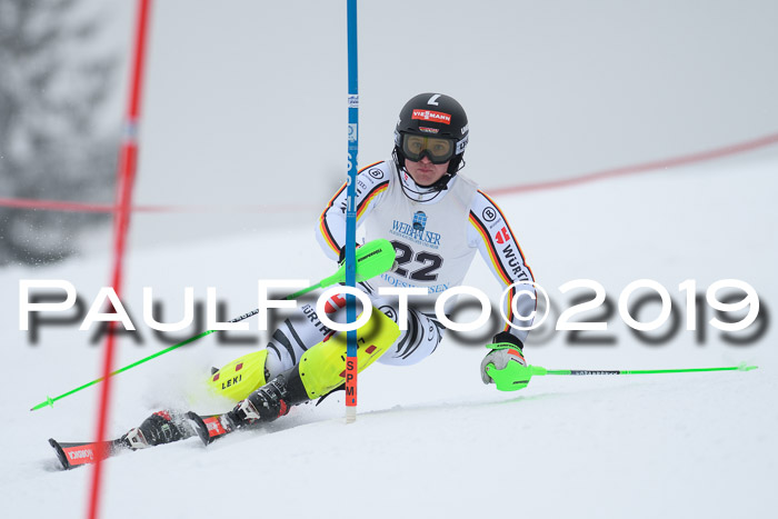 Int. FIS Rennen + NJC  AC Herren, FIS SG, Götschen, 25.01.2019