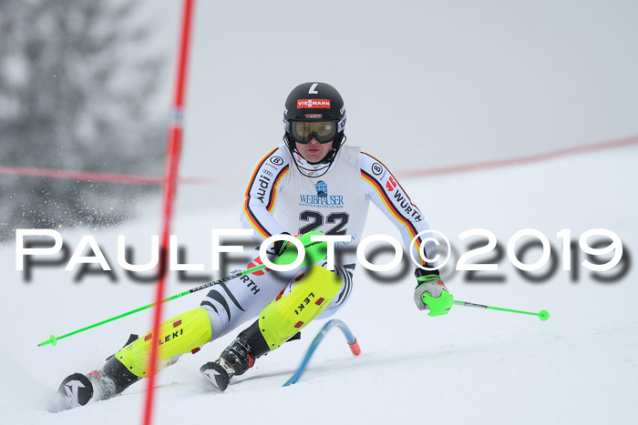 Int. FIS Rennen + NJC  AC Herren, FIS SG, Götschen, 25.01.2019