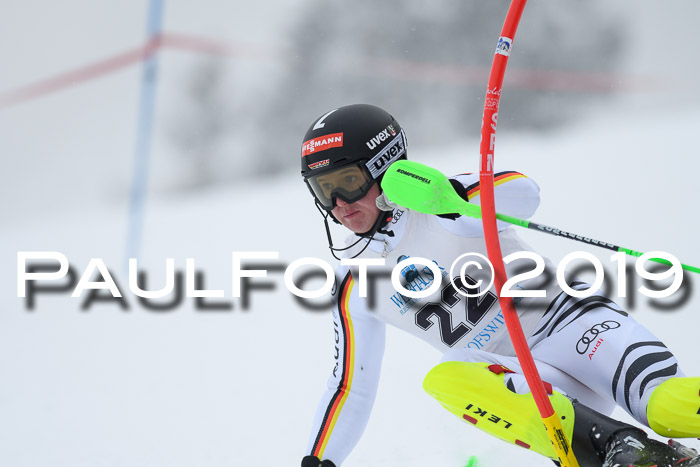 Int. FIS Rennen + NJC  AC Herren, FIS SG, Götschen, 25.01.2019