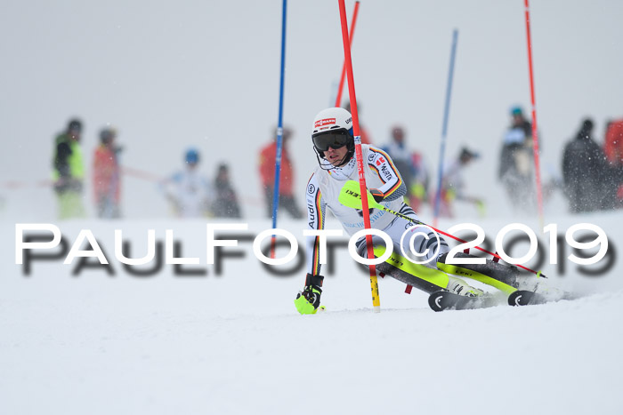 Int. FIS Rennen + NJC  AC Herren, FIS SG, Götschen, 25.01.2019