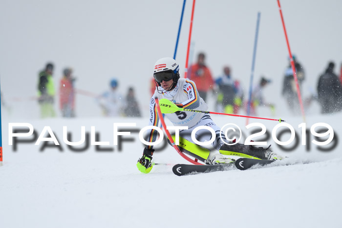 Int. FIS Rennen + NJC  AC Herren, FIS SG, Götschen, 25.01.2019