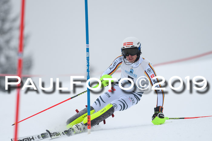 Int. FIS Rennen + NJC  AC Herren, FIS SG, Götschen, 25.01.2019