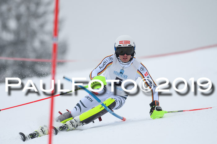 Int. FIS Rennen + NJC  AC Herren, FIS SG, Götschen, 25.01.2019