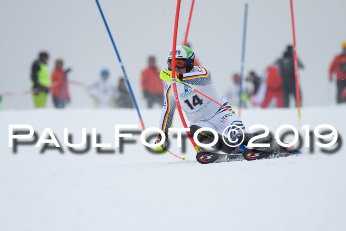 Int. FIS Rennen + NJC  AC Herren, FIS SG, Götschen, 25.01.2019