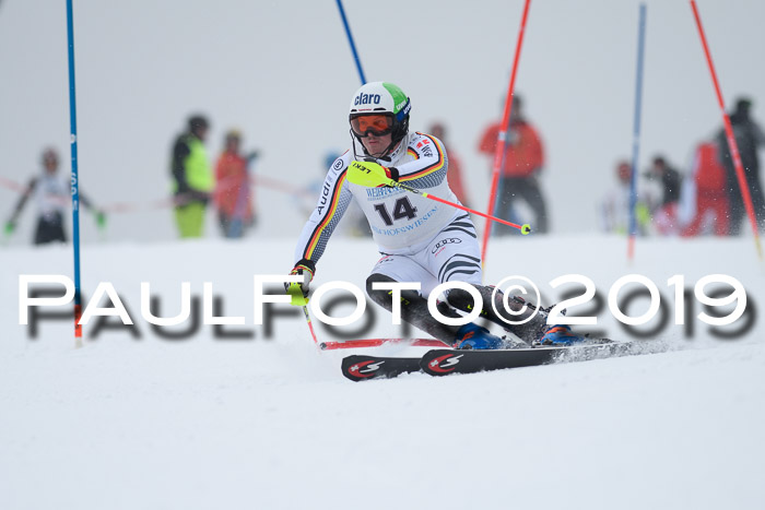 Int. FIS Rennen + NJC  AC Herren, FIS SG, Götschen, 25.01.2019