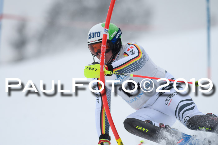 Int. FIS Rennen + NJC  AC Herren, FIS SG, Götschen, 25.01.2019
