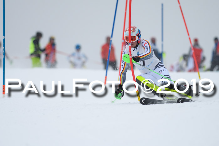 Int. FIS Rennen + NJC  AC Herren, FIS SG, Götschen, 25.01.2019