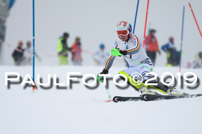 Int. FIS Rennen + NJC  AC Herren, FIS SG, Götschen, 25.01.2019
