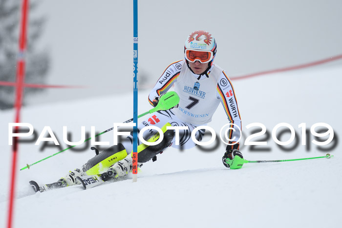 Int. FIS Rennen + NJC  AC Herren, FIS SG, Götschen, 25.01.2019