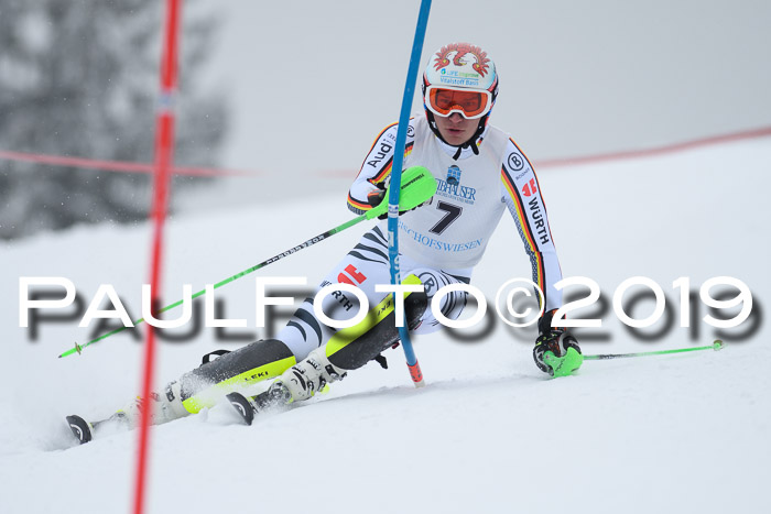 Int. FIS Rennen + NJC  AC Herren, FIS SG, Götschen, 25.01.2019