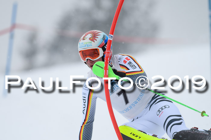 Int. FIS Rennen + NJC  AC Herren, FIS SG, Götschen, 25.01.2019