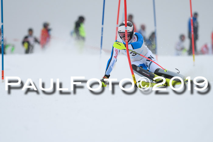 Int. FIS Rennen + NJC  AC Herren, FIS SG, Götschen, 25.01.2019