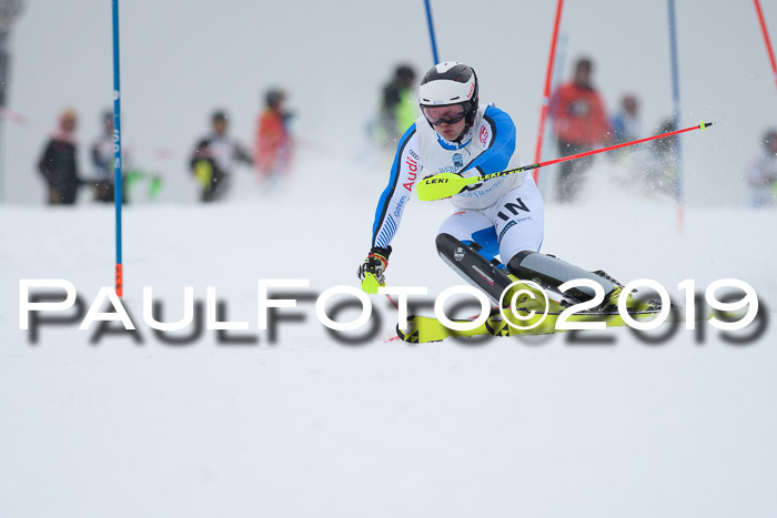 Int. FIS Rennen + NJC  AC Herren, FIS SG, Götschen, 25.01.2019