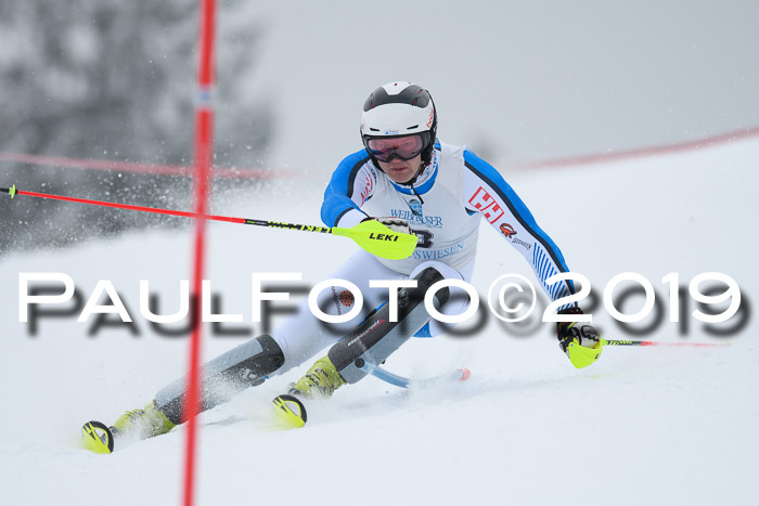 Int. FIS Rennen + NJC  AC Herren, FIS SG, Götschen, 25.01.2019