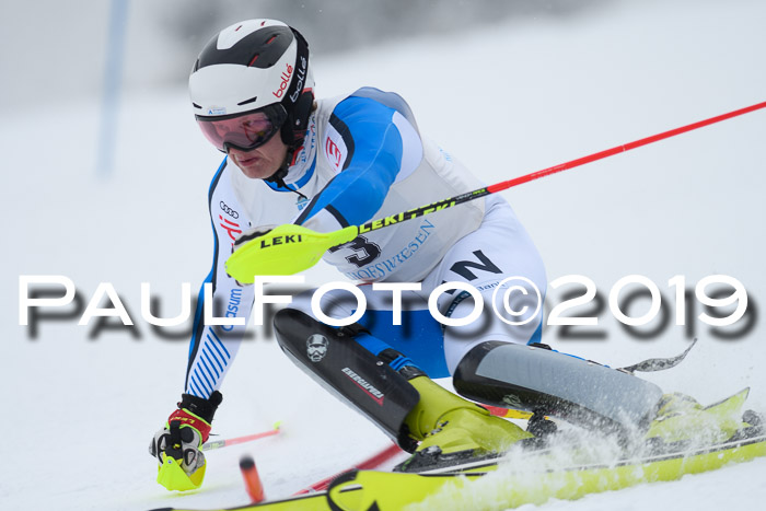 Int. FIS Rennen + NJC  AC Herren, FIS SG, Götschen, 25.01.2019