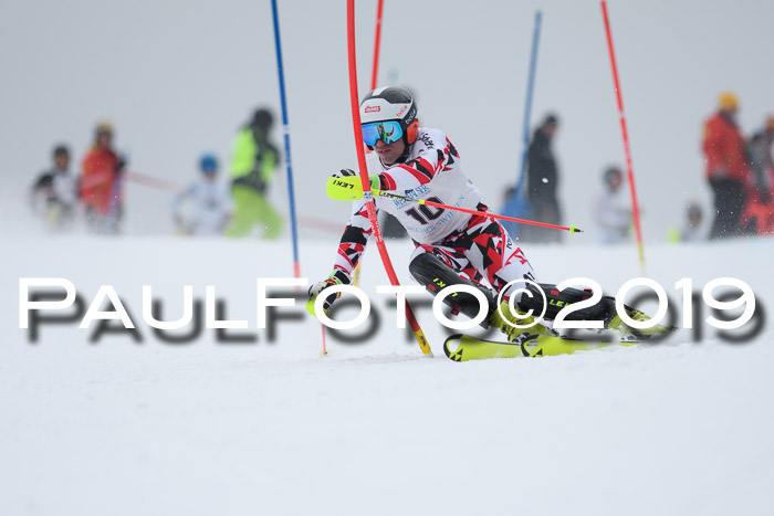 Int. FIS Rennen + NJC  AC Herren, FIS SG, Götschen, 25.01.2019