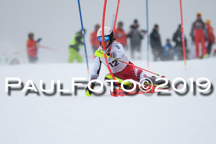 Int. FIS Rennen + NJC  AC Herren, FIS SG, Götschen, 25.01.2019