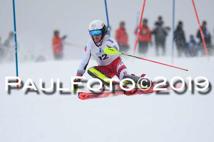 Int. FIS Rennen + NJC  AC Herren, FIS SG, Götschen, 25.01.2019