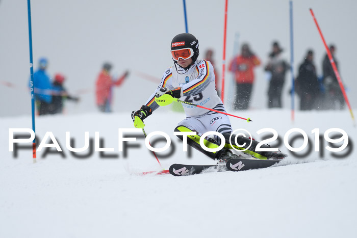 Int. FIS Rennen + NJC  AC Herren, FIS SG, Götschen, 25.01.2019