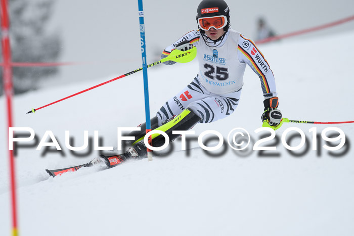 Int. FIS Rennen + NJC  AC Herren, FIS SG, Götschen, 25.01.2019