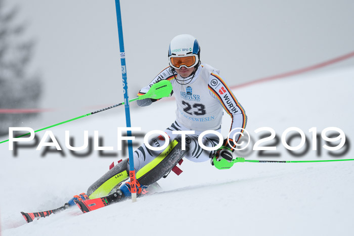 Int. FIS Rennen + NJC  AC Herren, FIS SG, Götschen, 25.01.2019