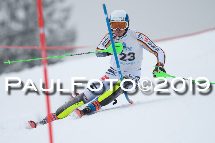 Int. FIS Rennen + NJC  AC Herren, FIS SG, Götschen, 25.01.2019