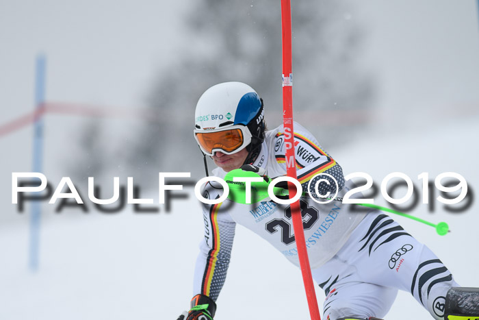 Int. FIS Rennen + NJC  AC Herren, FIS SG, Götschen, 25.01.2019