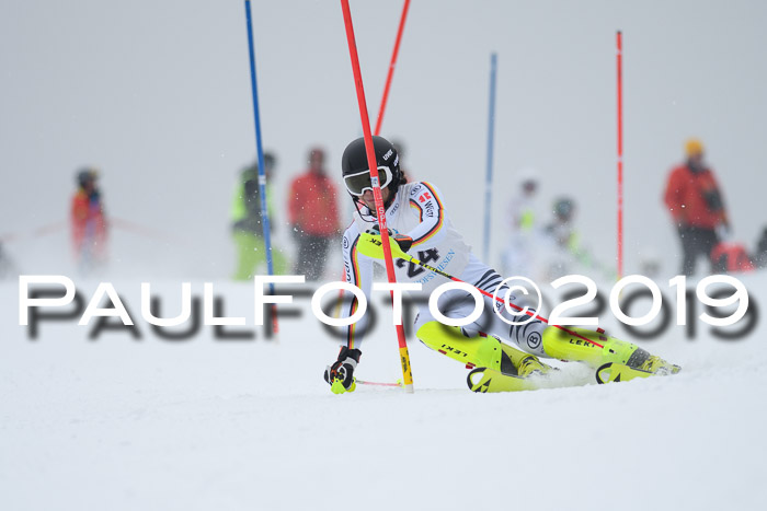 Int. FIS Rennen + NJC  AC Herren, FIS SG, Götschen, 25.01.2019