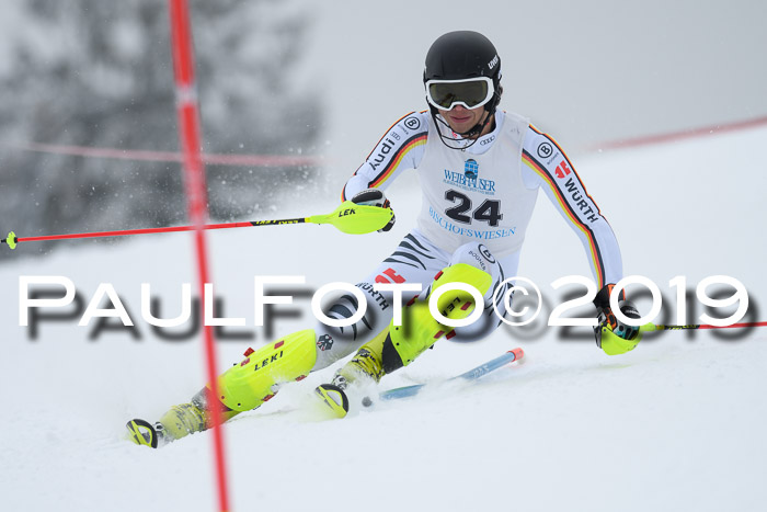 Int. FIS Rennen + NJC  AC Herren, FIS SG, Götschen, 25.01.2019