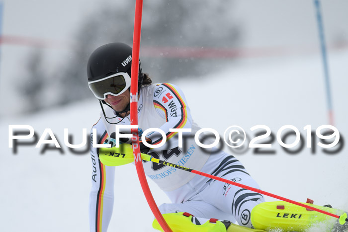 Int. FIS Rennen + NJC  AC Herren, FIS SG, Götschen, 25.01.2019