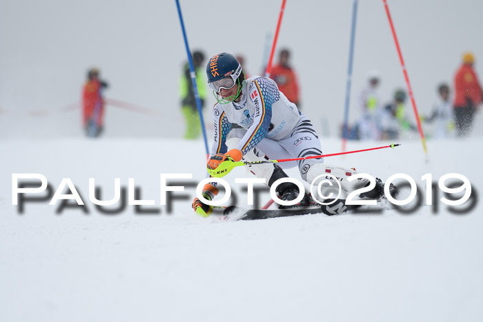 Int. FIS Rennen + NJC  AC Herren, FIS SG, Götschen, 25.01.2019