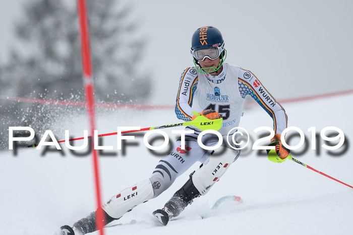 Int. FIS Rennen + NJC  AC Herren, FIS SG, Götschen, 25.01.2019