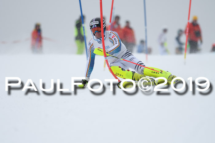 Int. FIS Rennen + NJC  AC Herren, FIS SG, Götschen, 25.01.2019