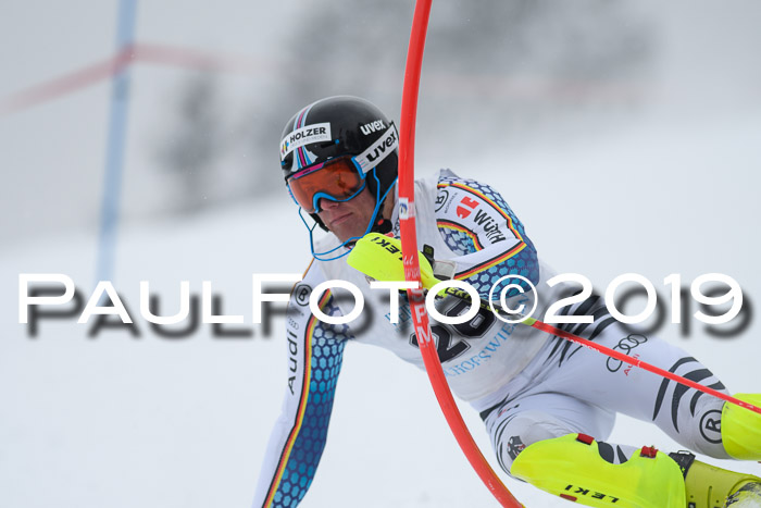 Int. FIS Rennen + NJC  AC Herren, FIS SG, Götschen, 25.01.2019