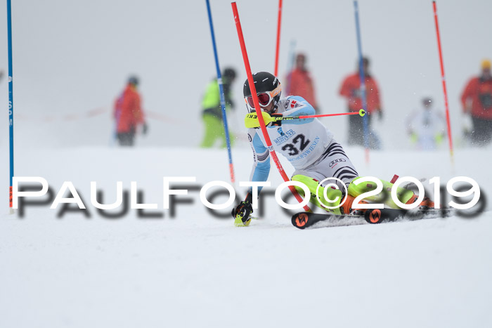 Int. FIS Rennen + NJC  AC Herren, FIS SG, Götschen, 25.01.2019