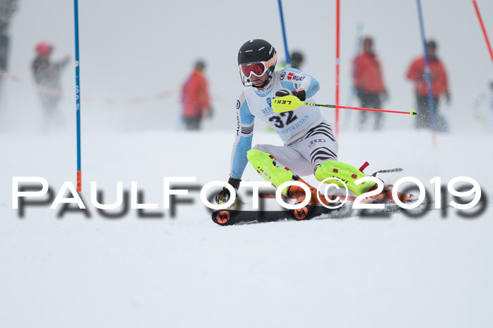 Int. FIS Rennen + NJC  AC Herren, FIS SG, Götschen, 25.01.2019