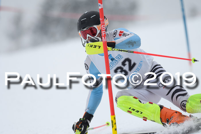 Int. FIS Rennen + NJC  AC Herren, FIS SG, Götschen, 25.01.2019