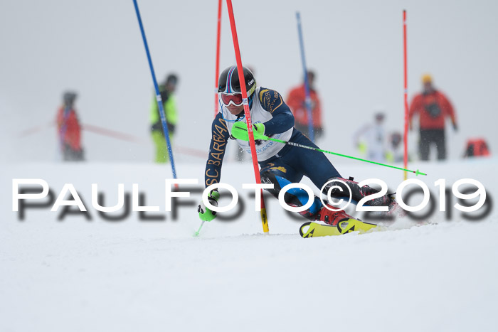 Int. FIS Rennen + NJC  AC Herren, FIS SG, Götschen, 25.01.2019