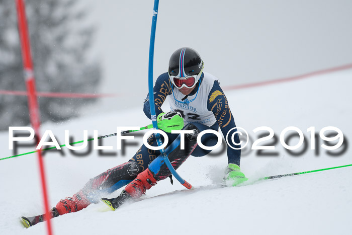 Int. FIS Rennen + NJC  AC Herren, FIS SG, Götschen, 25.01.2019