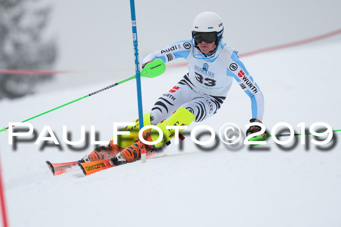 Int. FIS Rennen + NJC  AC Herren, FIS SG, Götschen, 25.01.2019