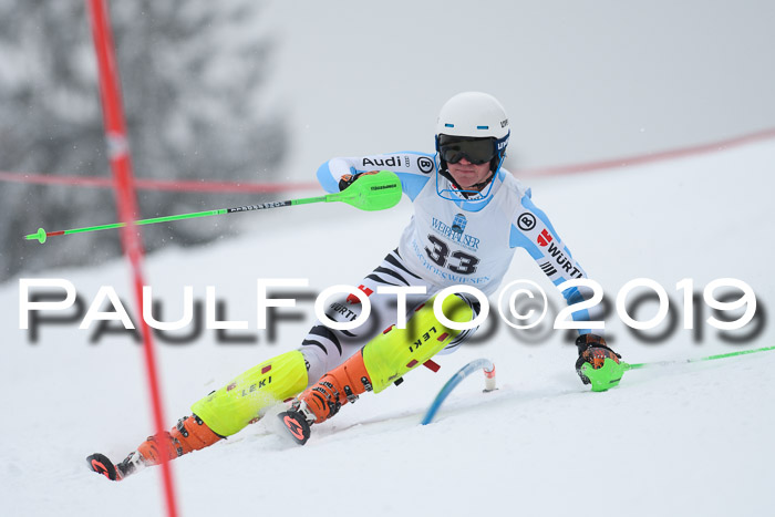 Int. FIS Rennen + NJC  AC Herren, FIS SG, Götschen, 25.01.2019