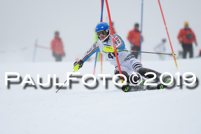 Int. FIS Rennen + NJC  AC Herren, FIS SG, Götschen, 25.01.2019
