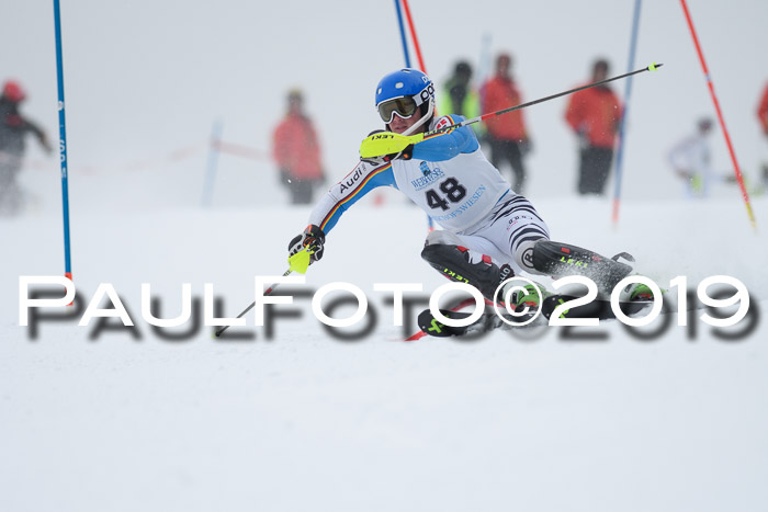 Int. FIS Rennen + NJC  AC Herren, FIS SG, Götschen, 25.01.2019
